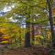 Brown Mountain Overlook Area