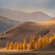 Gold of the mountains/ Золото гор