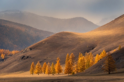 Gold of the mountains/ Золото...