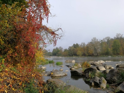 Colorful autumn
