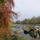 Colorful autumn