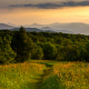 Appalachian Trail, Beauty Spot