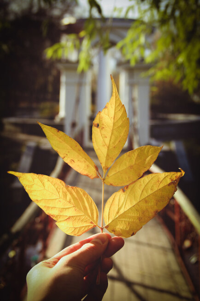 The summer was over.