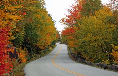 2020Fall Photo Contest Road Le...