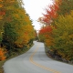 2020Fall Photo Contest Road Less Traveled