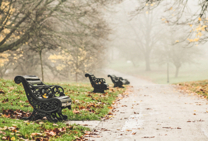 Foggy Fall