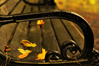 Park Bench in Fall