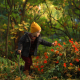 Little explorer