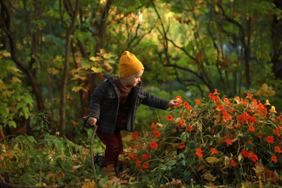 Little explorer