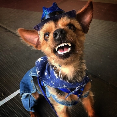 Cowboy Yogi