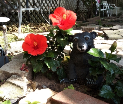 Bear and flowers