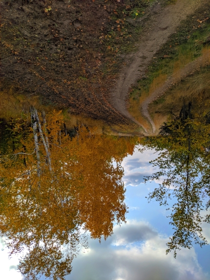 Autumn