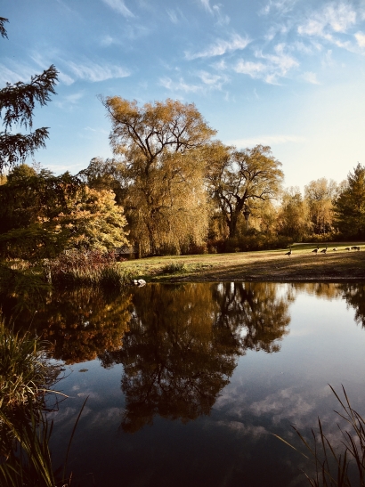 Fall feels