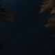 Night landscape