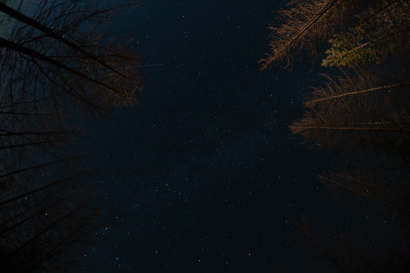 Night landscape