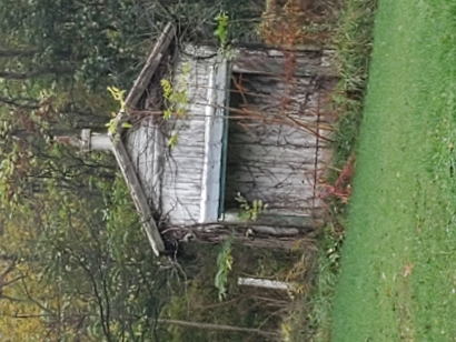 The shed