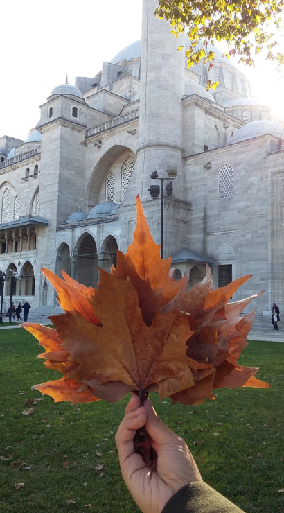 Ottoman leaves