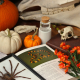 The study of fall
