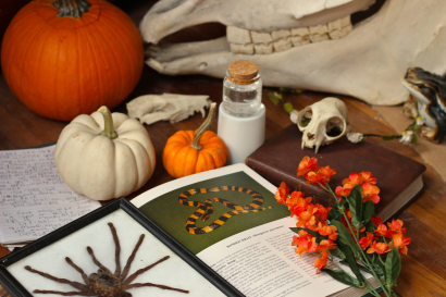 The study of fall