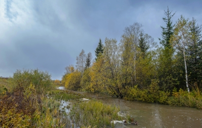 River White D. Baisakalova R-k...
