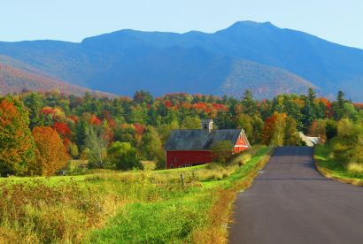 2020fallcontest