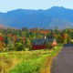 2020fallcontest