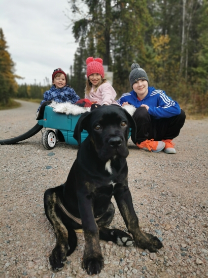 Huck and his Humans