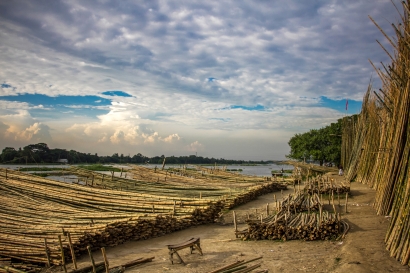 Bamboo market in autumn days