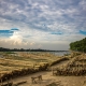 Bamboo market in autumn days