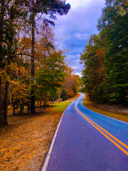 Winding Road