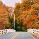 Bridges and Branches