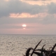 Laguna