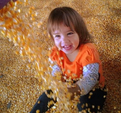 Iowa Treasure