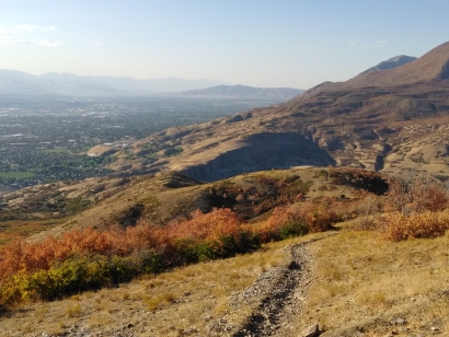 Timp