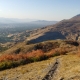 Timp