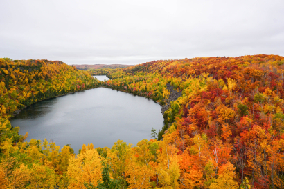 I Can't Overlook these colors!...