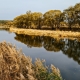 Golden River Nature Russia