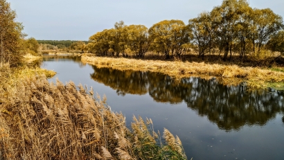 Golden River Nature Russia