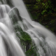 Mossy Flow