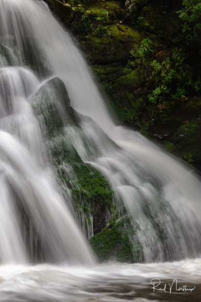 Mossy Flow
