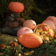 Осенний натюрморт / Autumn still life