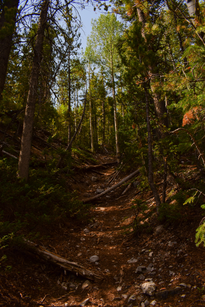 Lesser Traveled Path