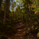 Lesser Traveled Path
