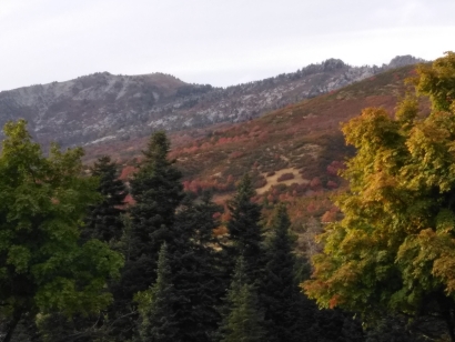 Fallicious