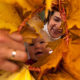 In the autumn ring