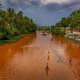 Monsoon season