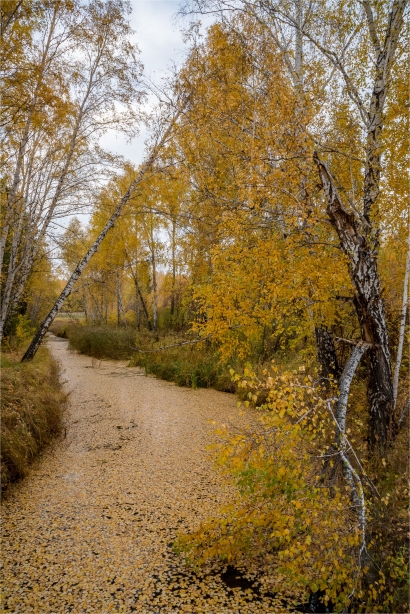 Autumn in Russia
