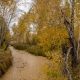 Autumn in Russia