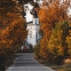 Autumn