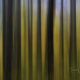 Nature's Barcode